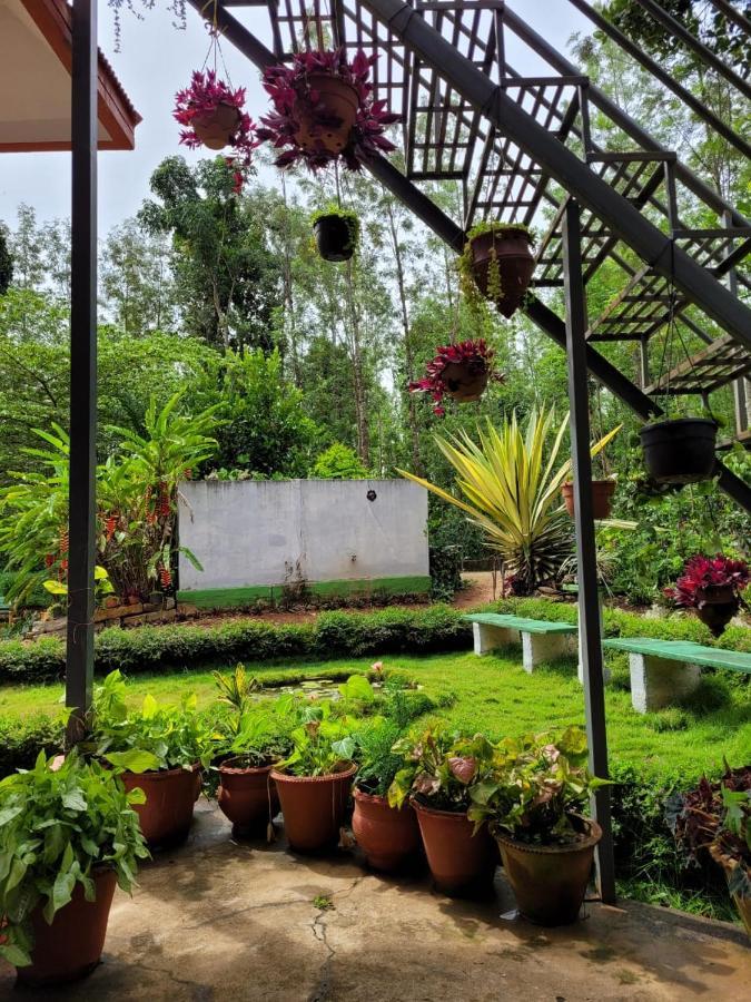 Bluebell Homestay Chikmagalūr Eksteriør bilde